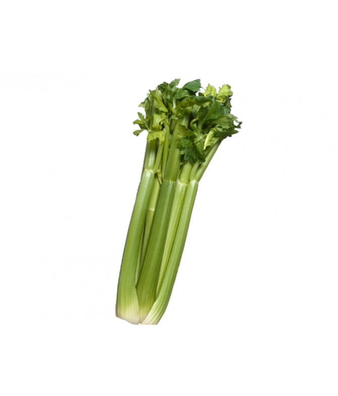 Baby Celery
