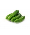 Baby Cucumbers