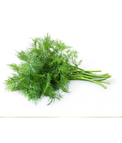 Arapsaçı Otu (Rezene)