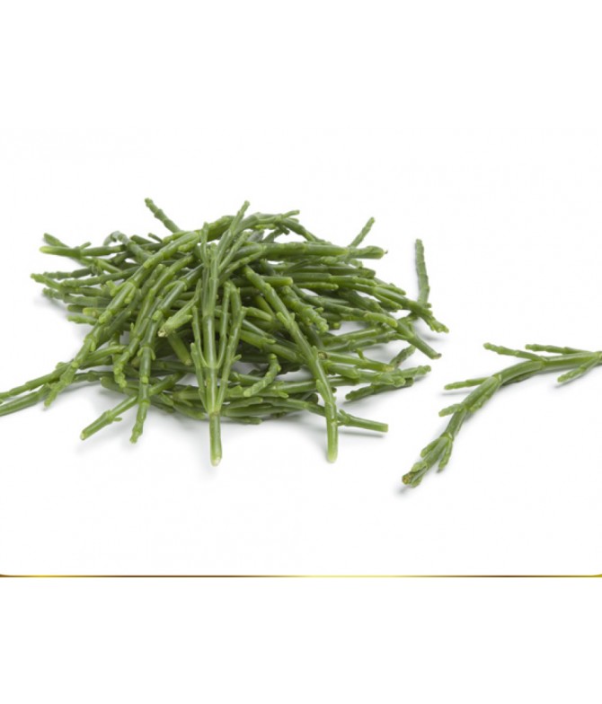 Samphire