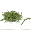 Samphire