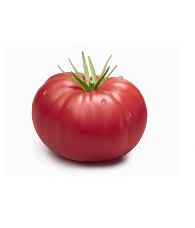 Pink Tomato
