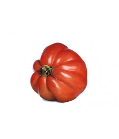 Tomato Beef