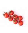 Tomato Bunch