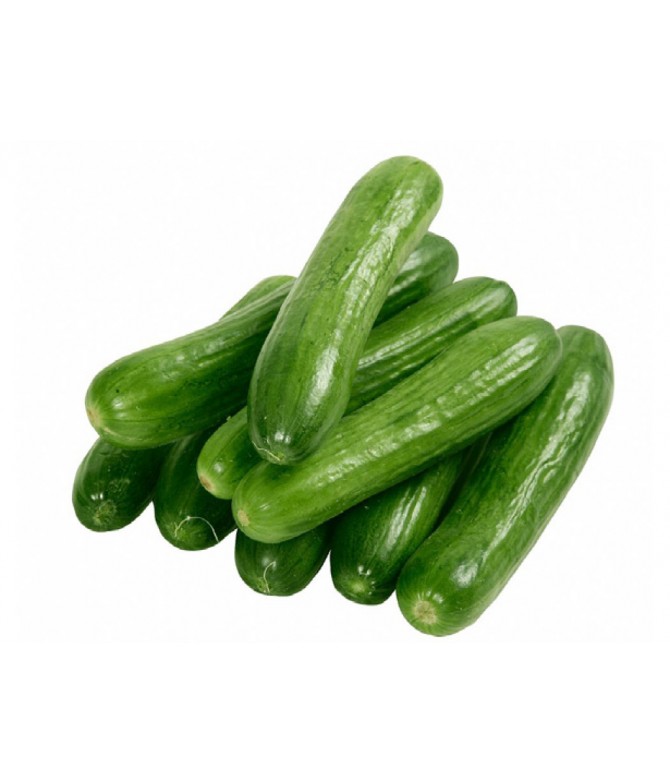 Salatalık Çengelköy