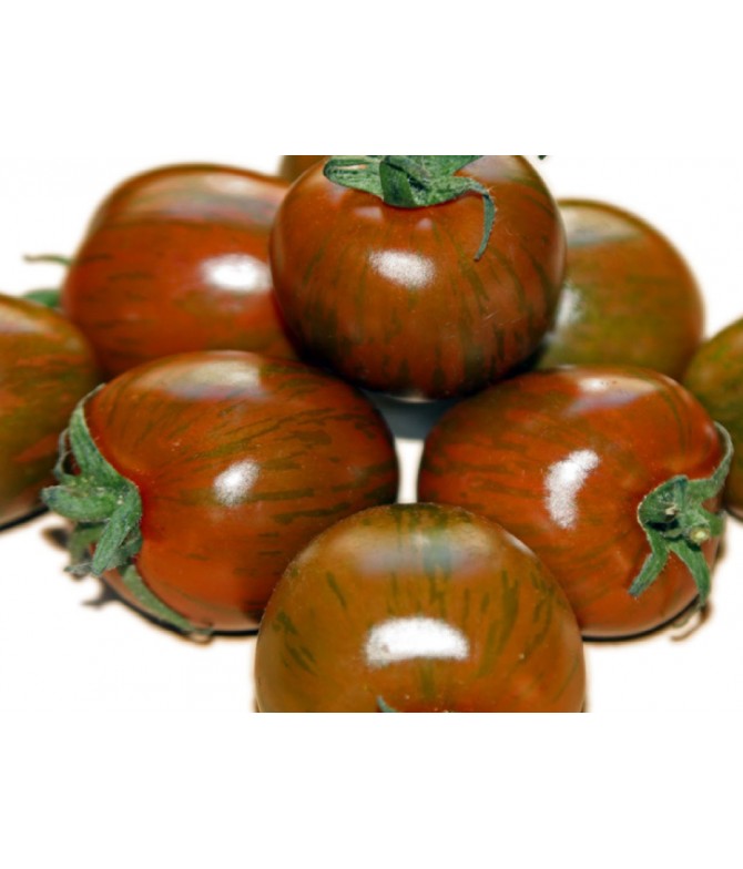 Zebra Tomatoes