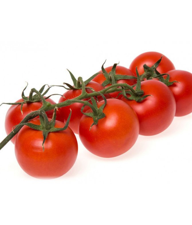 Tomato Cocktail