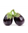 Eggplant Garden