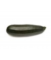 Green Zucchini