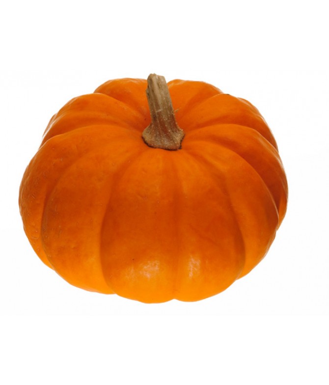 Pumpkin