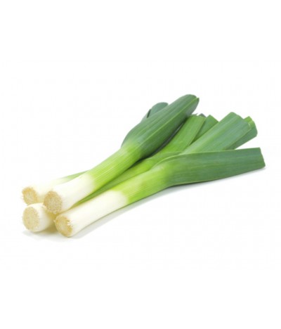Leek