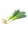 Leek