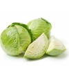 White Cabbage
