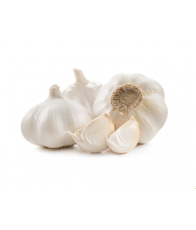 Kastamonu Garlic