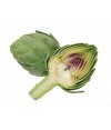 Artichoke Heart