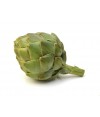 Artichoke