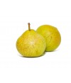 Pear Deveci
