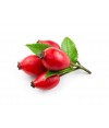 Rosehip
