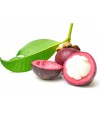 Mangosten
