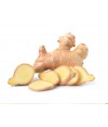 Zencefil