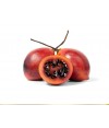 Tamarillo