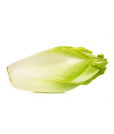 Chicory