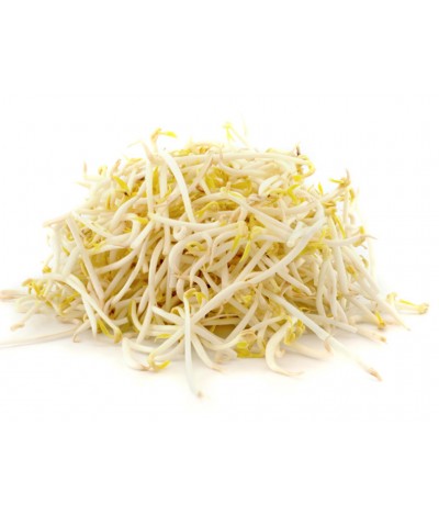 Soya Filizi