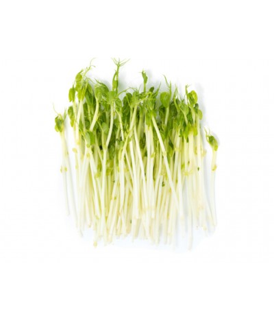 Pea Sprouts