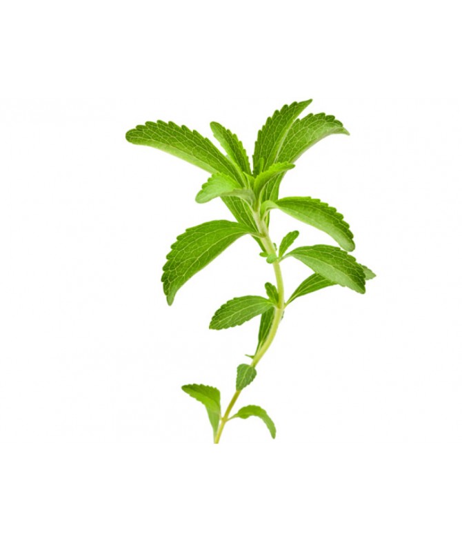 Stevia