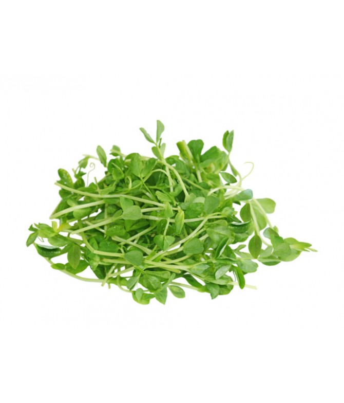 Pea Sprouts