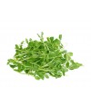 Pea Sprouts