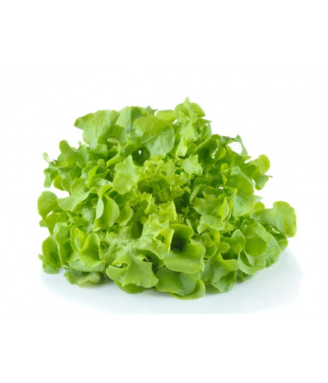 Bol Salat