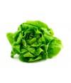 Kop Salat