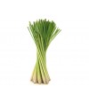 Lemon Grass