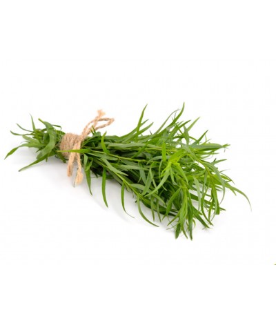 Tarragon