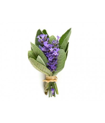 Purple Sage