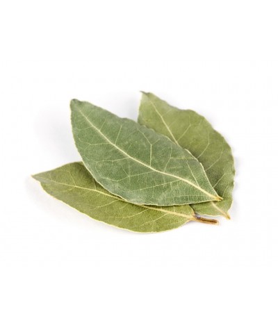 Bay Leaf