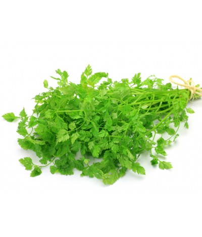 Chervil