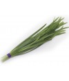 Mowing Garlic